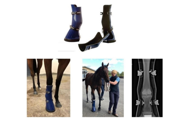 The Racing Foundation funds revolutionary equine fracture support kits for British racecourses Image The Racing Foundation funds revolutionary equine fracture support kits for British racecourses Image